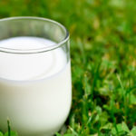 Проект з безпечності молока провів тренінг для групи з оцінки ризику
